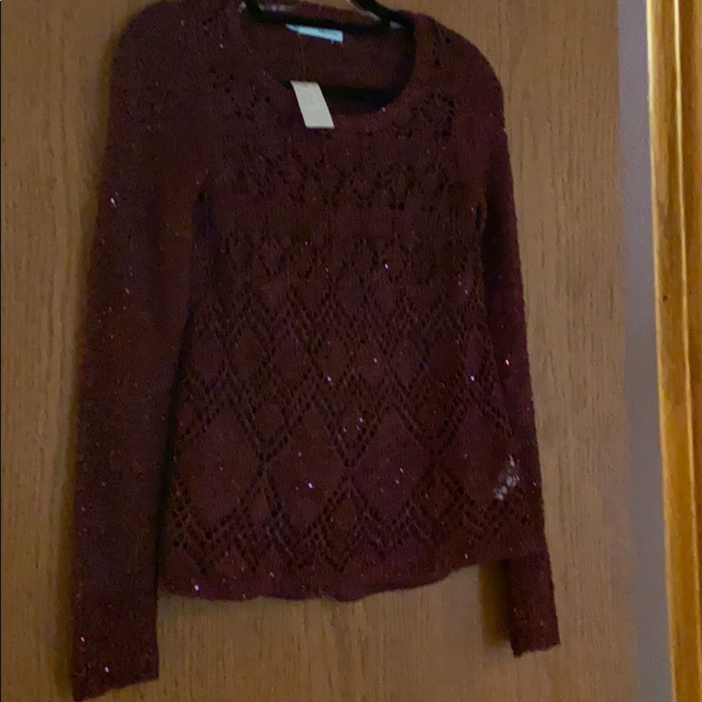 Maroon sweater with sequins.